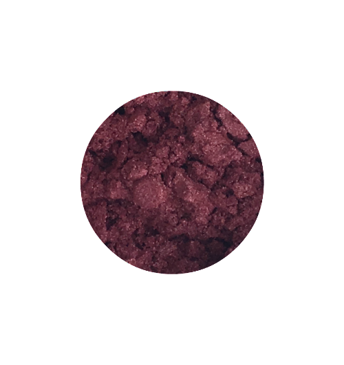 Coming Up Roses - Show Shimmer