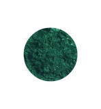 Dazzling Shamrock - Show Shimmer