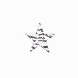 Zebra Glitter Petite Star