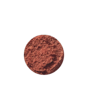 Coral Reef - Show Shimmer