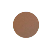 Brown Silver - Show Stopper